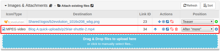 Flowplayer Plugin (Video)