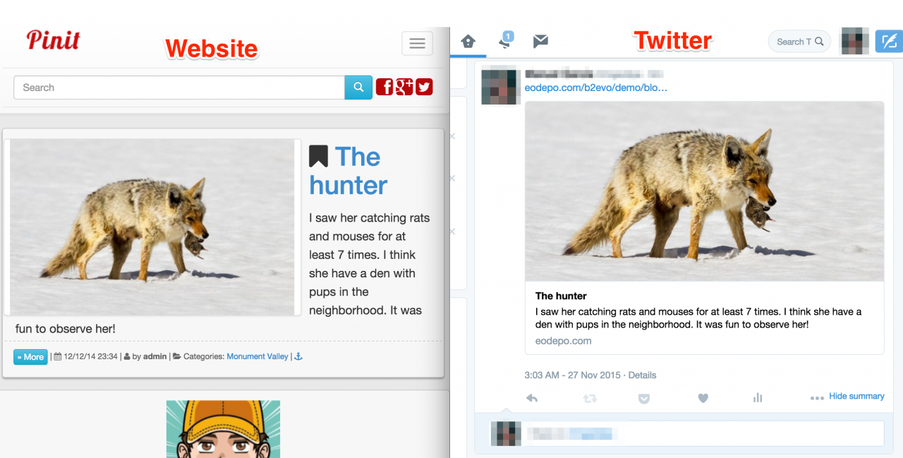 Twitter Card plugin