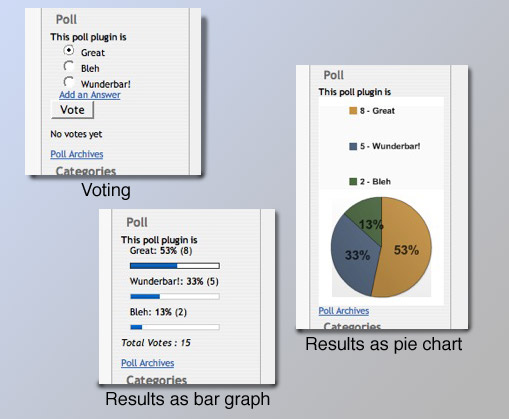 Democracy Poll